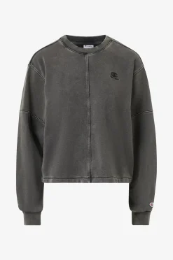 Champion Sweatshirt Icons Wash Loose Fit Terry Crewneck Sweatshirt