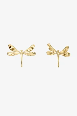 Edblad Örhängen Dragonfly Studs Gold